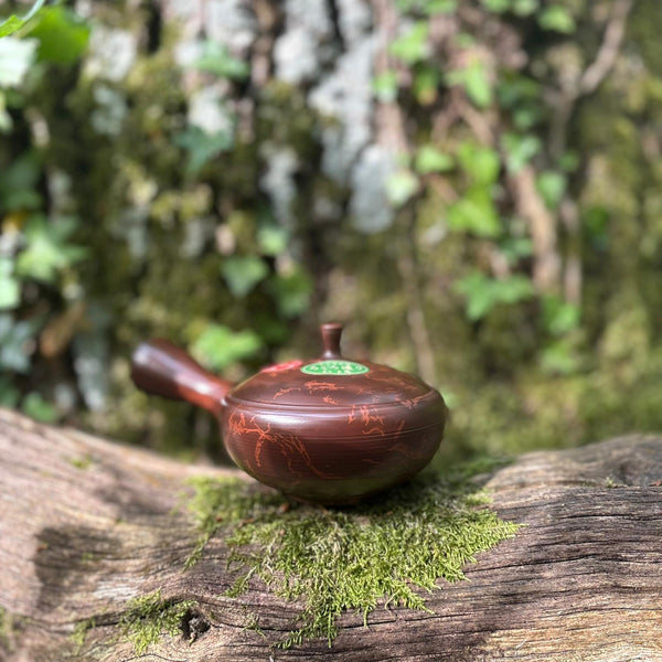 200ml Brown Clay Benishibori Hira-Kyusu [Gyokuryū Kiln]