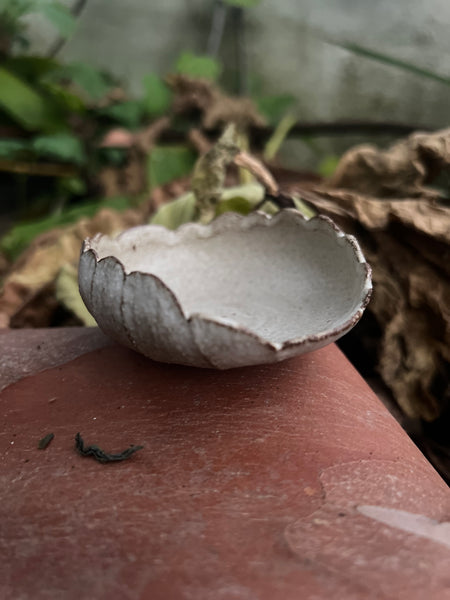 Shell Tea Scoop approx 90 x 25cm  [HyeJin Lee : Boseong, South Korea ]