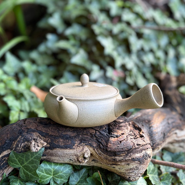 210ml Yakishime Hira-Kyusu with sesame filter [Gyokko Kiln]