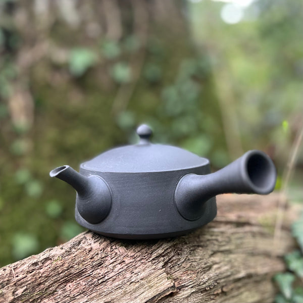 210ml Matt Grey/black Tokoname Kyusu [Tomohiro Kiln]