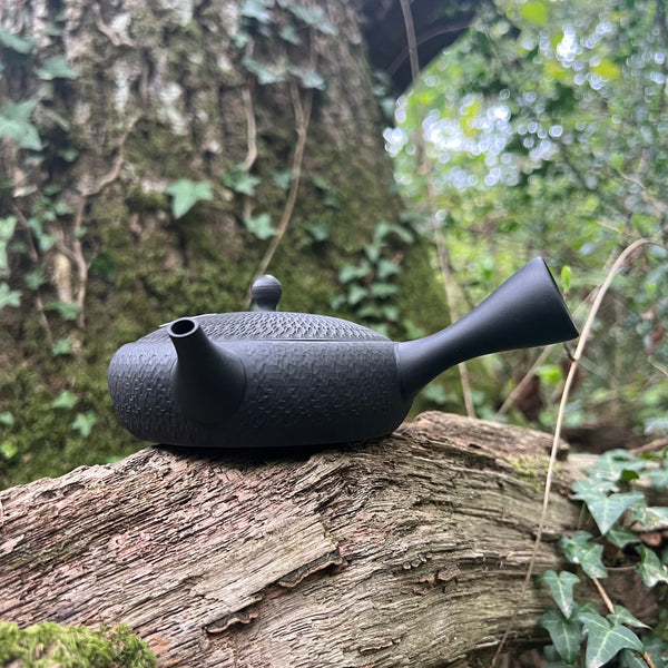 200ml Flat patterned black Tokoname Kyusu Teapot with Ceramic Strainer [Gyokko Kiln]
