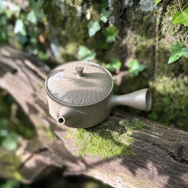 160ml Yakishime Hira-Kyusu with Bani / Tobikanna (飛び鉋) decoration & sesame filter [Gyokko Kiln]