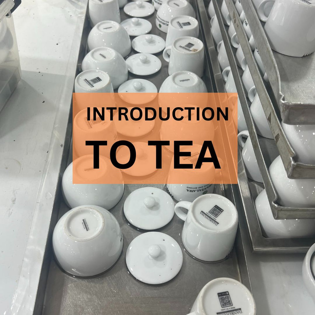 INTRODUCTION TO TEA 31.1 [ONLINE]