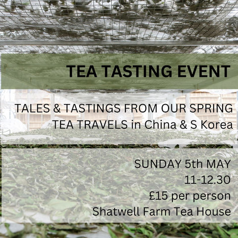 EVENT SUNDAY 5.5 SHATWELL TEA HOUSE : TALES & TASTINGS FROM OUR SPRING TEA TRAVELS IN CHINA & S KOREA