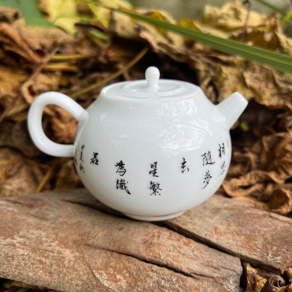 Hand Painted Bird teapot : Huang Xiaokang Jingdezhen