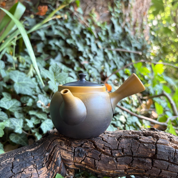 200ml Yellow Black Yōhen Kyusu with sesame filter [Hakusan Kiln]
