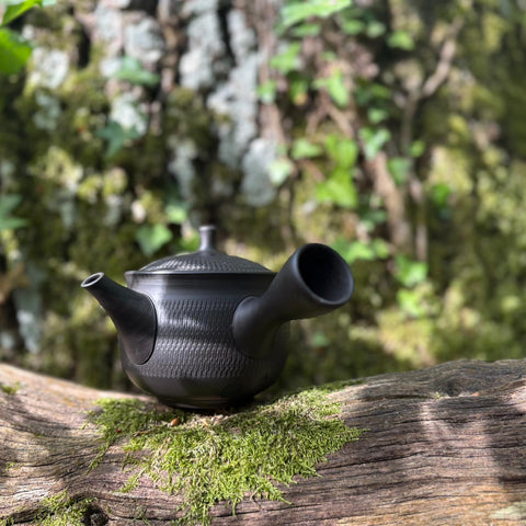 290ml Black Shudei Tobikanna (飛び鉋)/ Bani Kyusu with sesame filter [Gyokuryū Kiln]