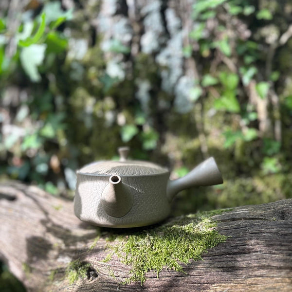 160ml Yakishime Hira-Kyusu with Bani / Tobikanna (飛び鉋) decoration & sesame filter [Gyokko Kiln]