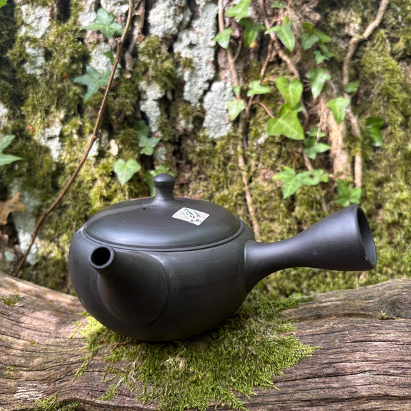 Black shudei (kokudei) kyusu with flowers kyusu /sesame filter [Gyokko Kiln]