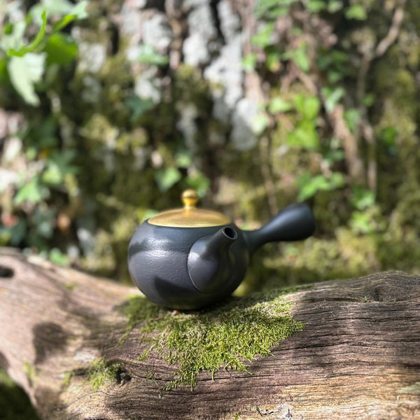 200ml Gold Lid Maru-gata (丸形) Ikomi Kokudei kyusu with sesame strainer [Shōhō Kiln]