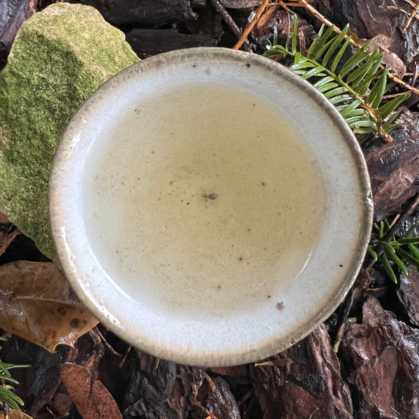 Ashweta’s 2023 Darjeeling White