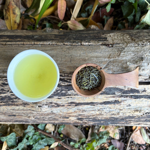 Iwasaki Family [Shizouka] Sencha