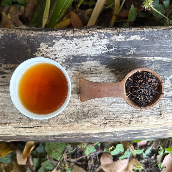 Iizuka Family Sukemune [Shizouka] Black Tea