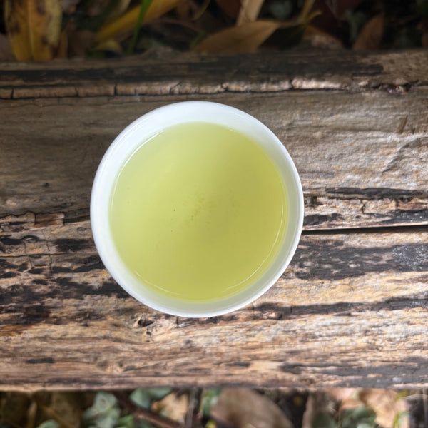 Iwasaki Family [Shizouka] High Grade Sencha