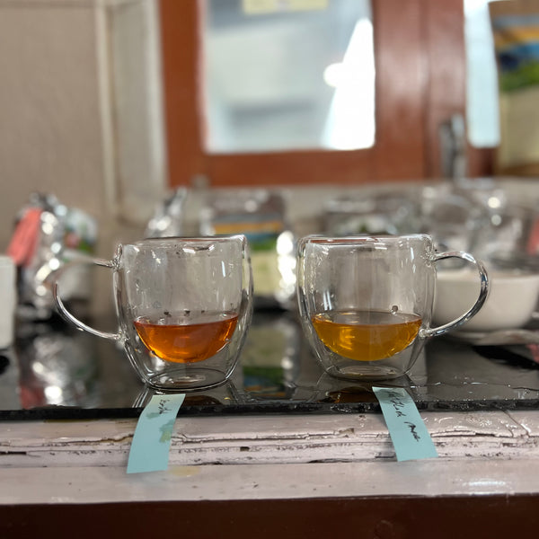 Rajiv’s 2025 First Flush Darjeeling
