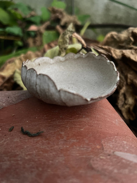 Shell Tea Scoop approx 90 x 25cm  [HyeJin Lee : Boseong, South Korea ]