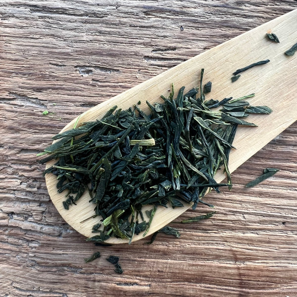 Yuta's 2025 Sencha