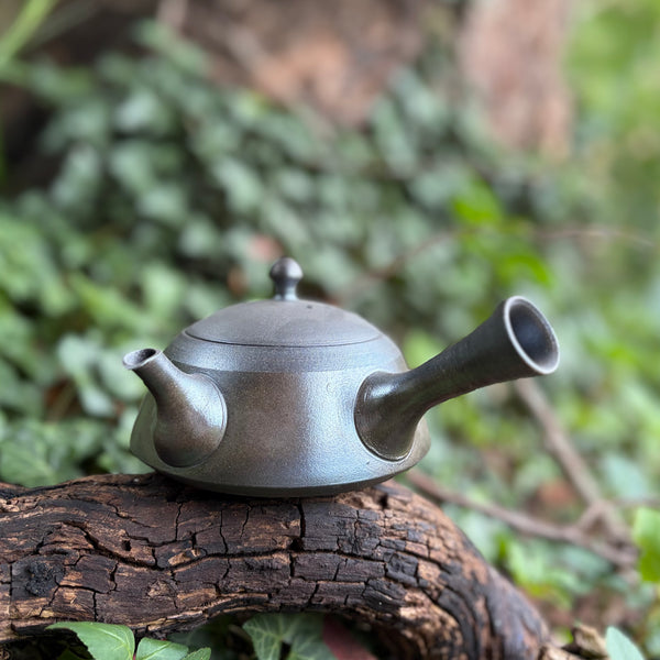 230ml Silver / Grey Matt/Metallic Hira-Kyusu with sesame filter [Tomohiro Kiln]