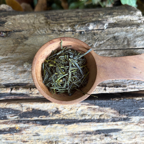 Iwasaki Family [Shizouka] Sencha