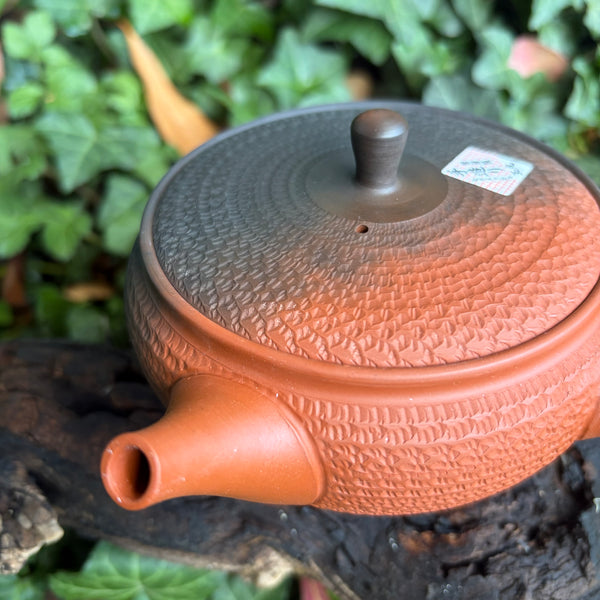 310ml Yōhen (窯変) Bani/Tobikanna (飛び鉋) Shudei Tokoname Hira-Kyusu with sesame filter [Gyokko Kiln]