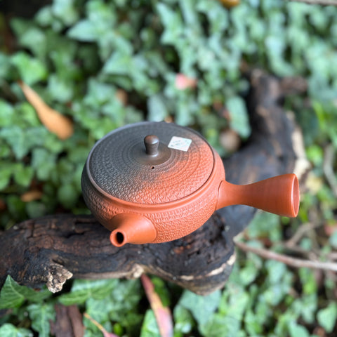 310ml Yōhen (窯変) Bani/Tobikanna (飛び鉋) Shudei Tokoname Hira-Kyusu with sesame filter [Gyokko Kiln]