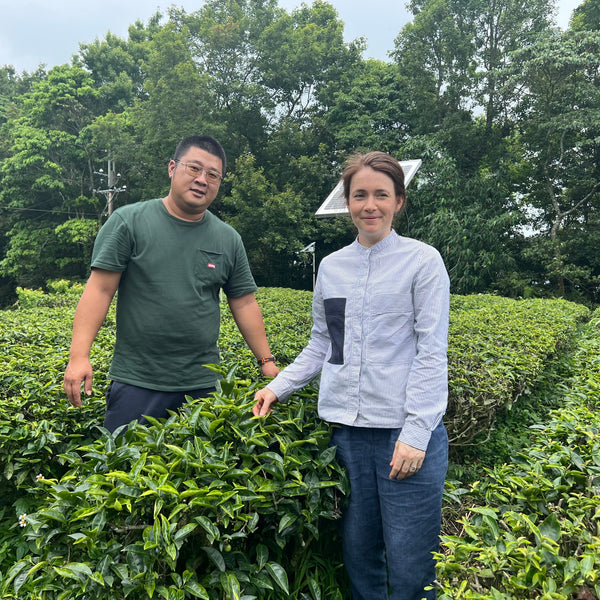 Tsai Brothers Four Seasons Black