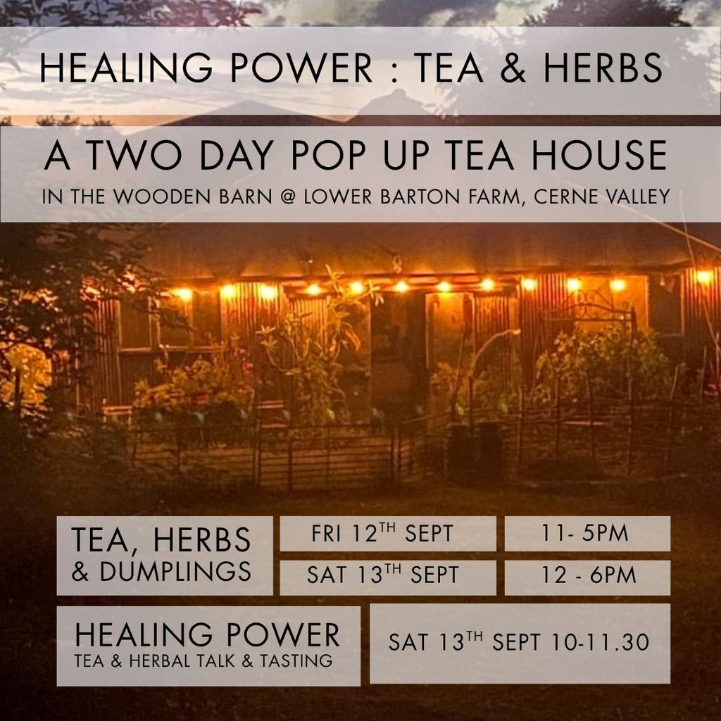 13.09 : Healing Power : Tea & Herbal Talk with Eleanor Gallia & Michelle Comins