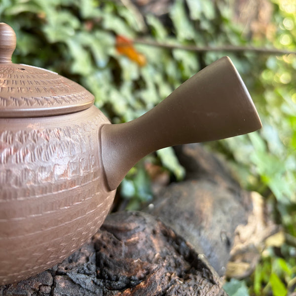 290ml  Yōhen (窯変) Bani / Tobikanna (飛び鉋) Shudei Kyusu with sesame filter [Gyokko Kiln]
