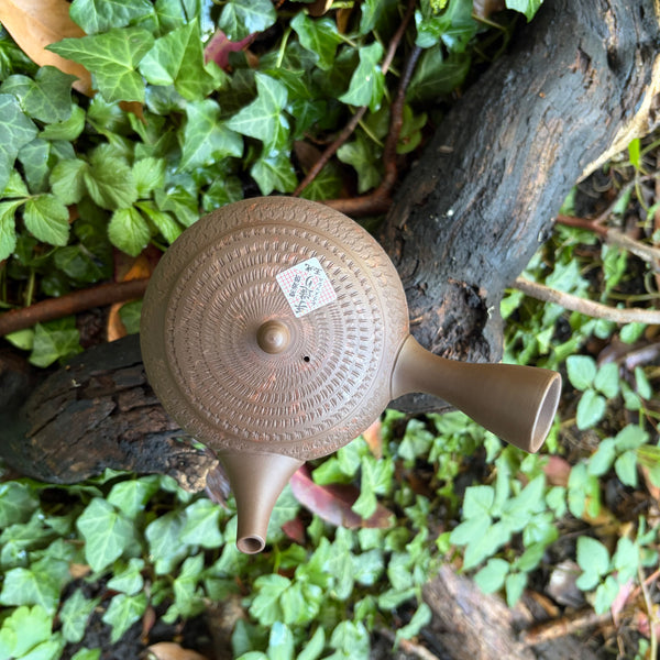 290ml  Yōhen (窯変) Bani / Tobikanna (飛び鉋) Shudei Kyusu with sesame filter [Gyokko Kiln]