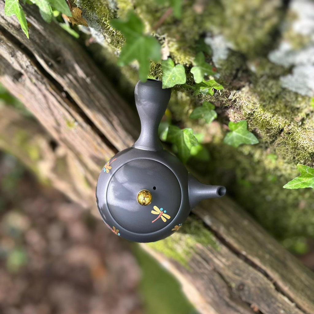 200ml Golden Dragonfly Maru-gata (丸形) Ikomi Kokudei kyusu with sesame strainer [Shōhō Kiln]