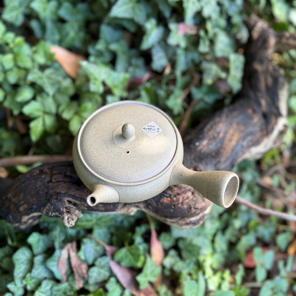 210ml Yakishime Hira-Kyusu with sesame filter [Gyokko Kiln]
