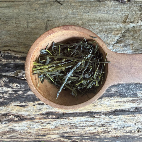 Iwasaki Family [Shizouka] High Grade Sencha