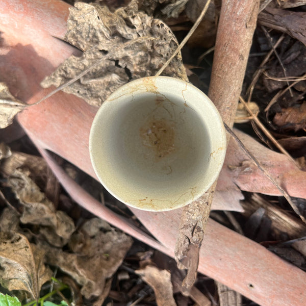 50ml Marbled Tokoname Teacup