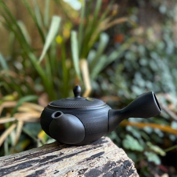Everyday range : 320ml Ikomi [鋳込み] Black Shudei with Brown Rim Tokoname Kyusu Belt Strainer [Tomisen Kiln]