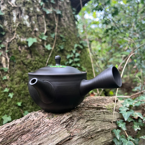 320ml Black with brown rimmed lid Tokoname Kyusu ceramic strainer [Gyokuryuu Kiln]