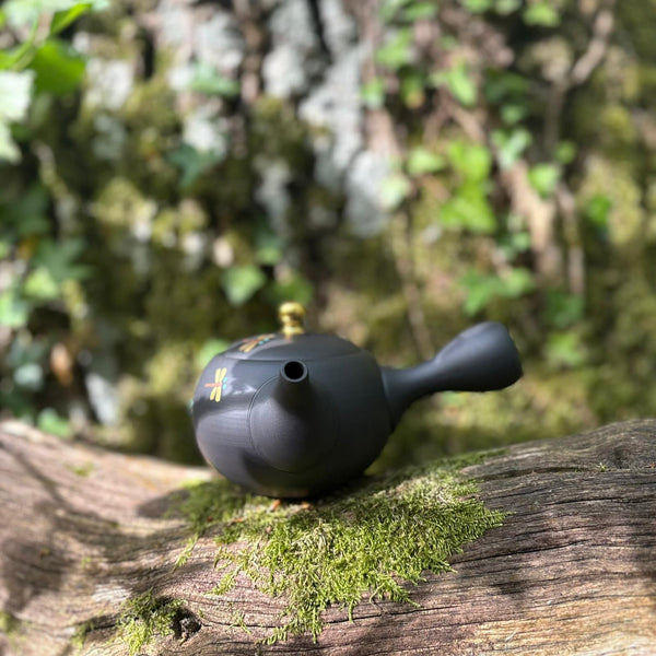 200ml Golden Dragonfly Maru-gata (丸形) Ikomi Kokudei kyusu with sesame strainer [Shōhō Kiln]
