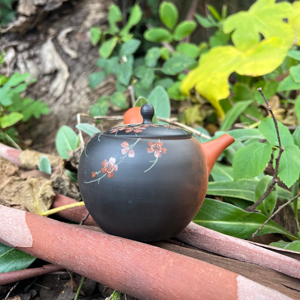 190ml Black & Red flower Tokoname Kyusu Teapot with Ceramic Strainer [Gyokko Kiln]