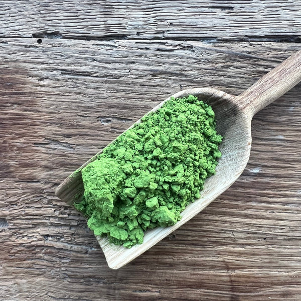 Yuta's 2025 Premium Grade Yabukita Matcha