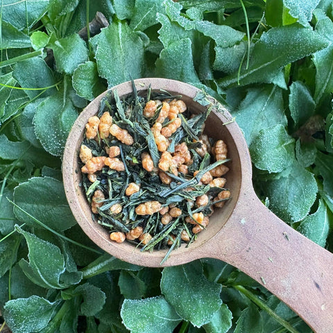 Yuta's 2025 Genmaicha