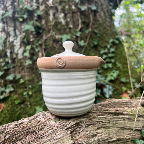 250ml white handle-less pouring teapot (Isshin kiln tokoname)