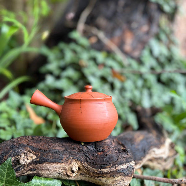 270ml Mogake”藻掛“ Red Shudei Kyusu with sesame filter [Gyokko Kiln]