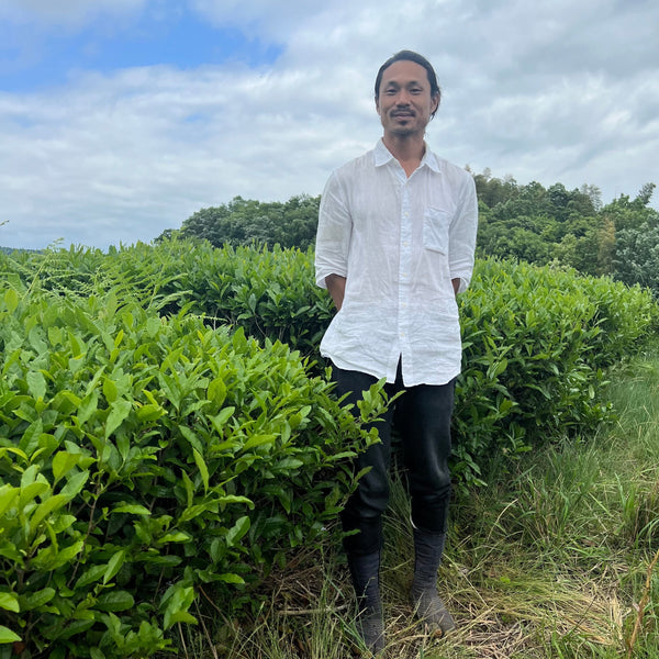 Tokuya’s Sencha Tea (Native Cultivar)