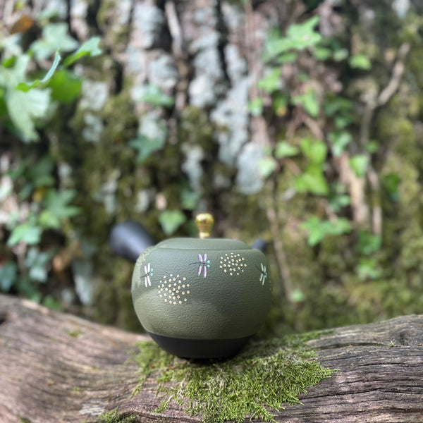 200ml Green/Black with gold Maru-gata (丸形) Ikomi Kokudei kyusu with sesame strainer [Shōhō Kiln]