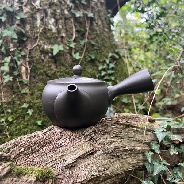 Everyday range : 360ml Black Flower sparkle Tokoname Kyusu Teapot Belt Strainer [Tomisen Kiln]