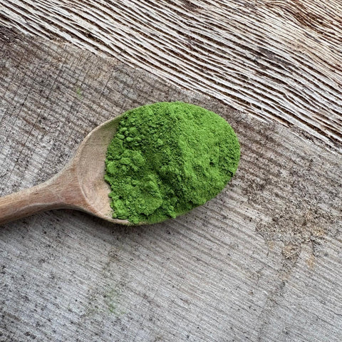 Harashima Family Yame Matcha