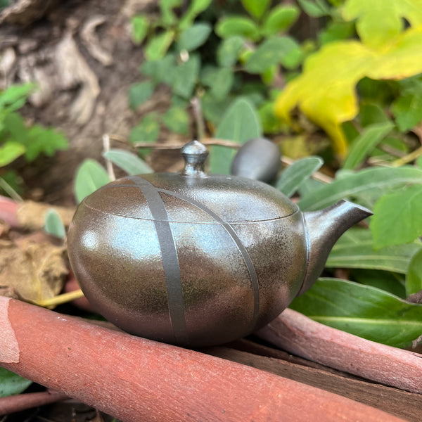 Silver with Stripe 170ml Kyusu Teapot with ceramic strainer [Tomohiro Kiln]