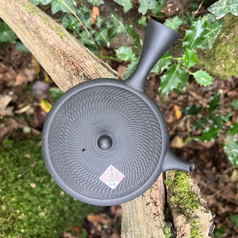 200ml Flat patterned black Tokoname Kyusu Teapot with Ceramic Strainer [Gyokko Kiln]