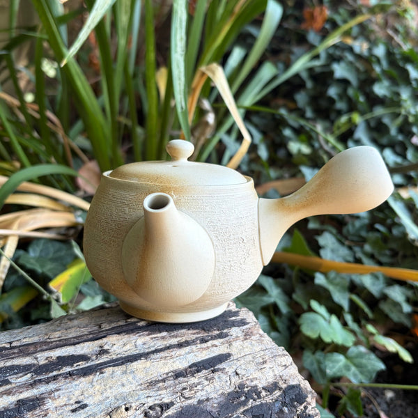 290ml White clay with Irabo Glaze Kyusu with sesame filter [Jinsui Kiln]