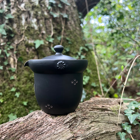 200ml black handle-less pouring teapot (Sekiryuu kiln tokoname)