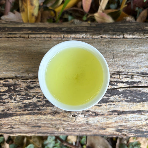 Iwasaki Family [Shizouka] Sencha